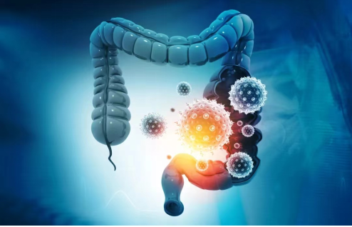 1682650206499080236.png image.png