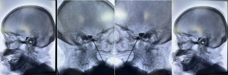 1727060204676053805.png image.png