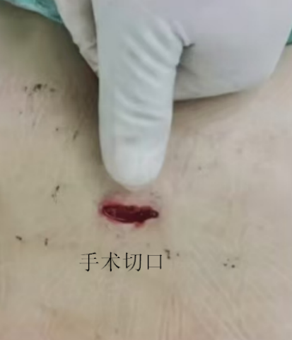 1732592181039002163.png image.png